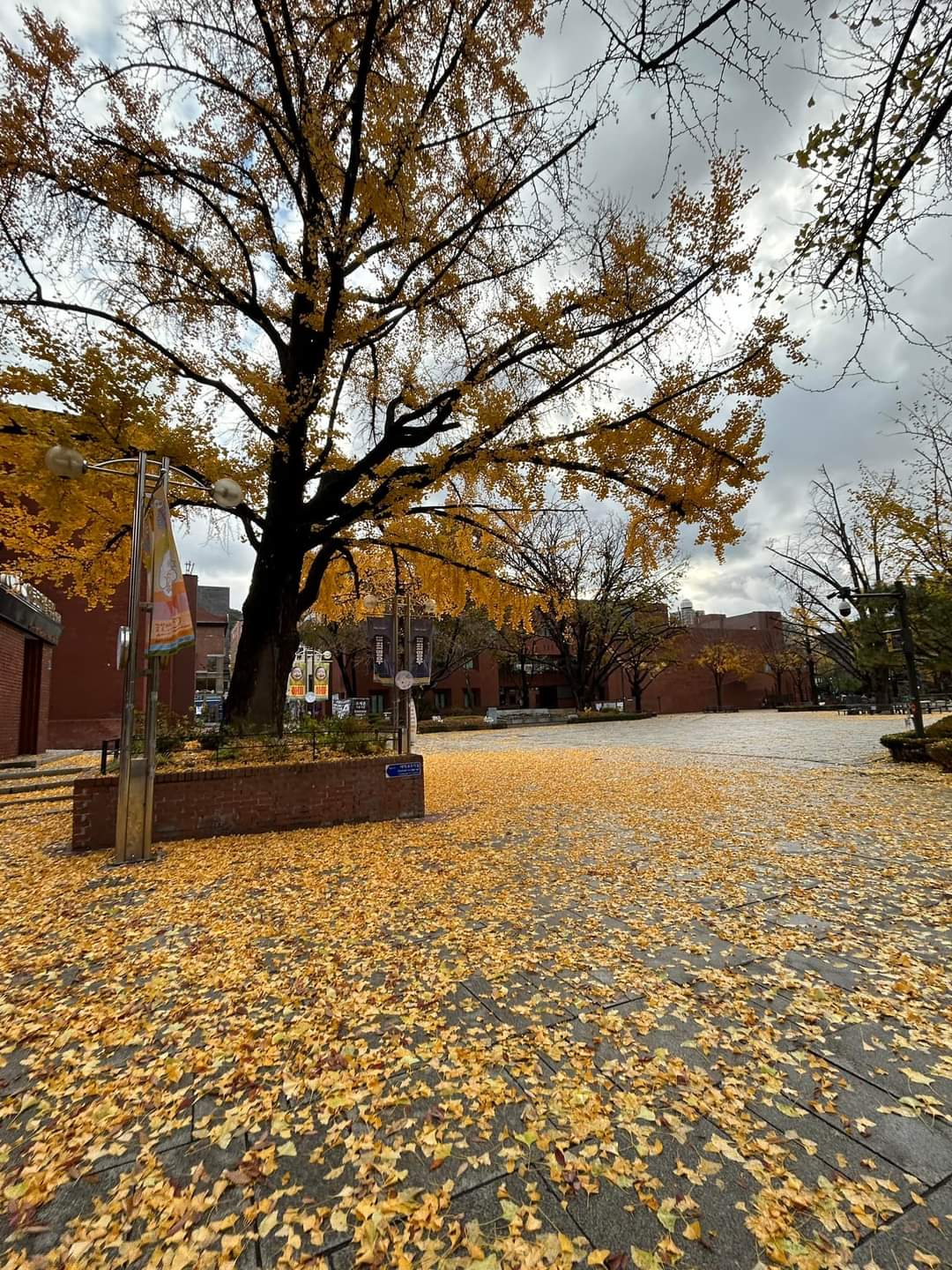 马罗尼埃公园（Marronnier Park · 마로니에 공원）